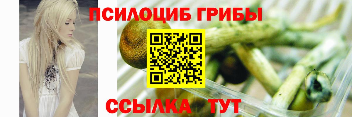 Ярославль  Псилоцибиновые грибы Magic Shrooms  Вход с VPN  Псилоцибиновые грибы MAGIC MUSHROOMS 